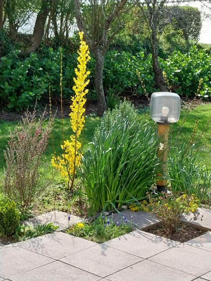 GreenGo location vacances écoresponsables