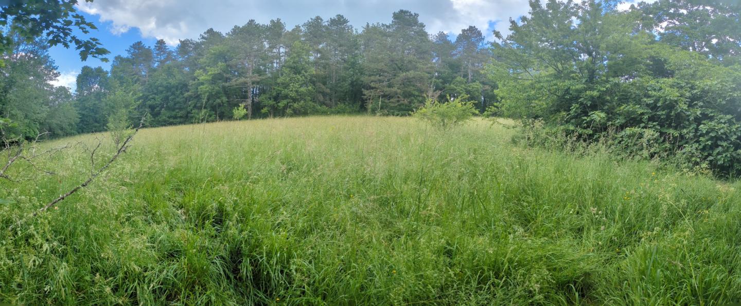 Chambre d’hôtes Lot Musique