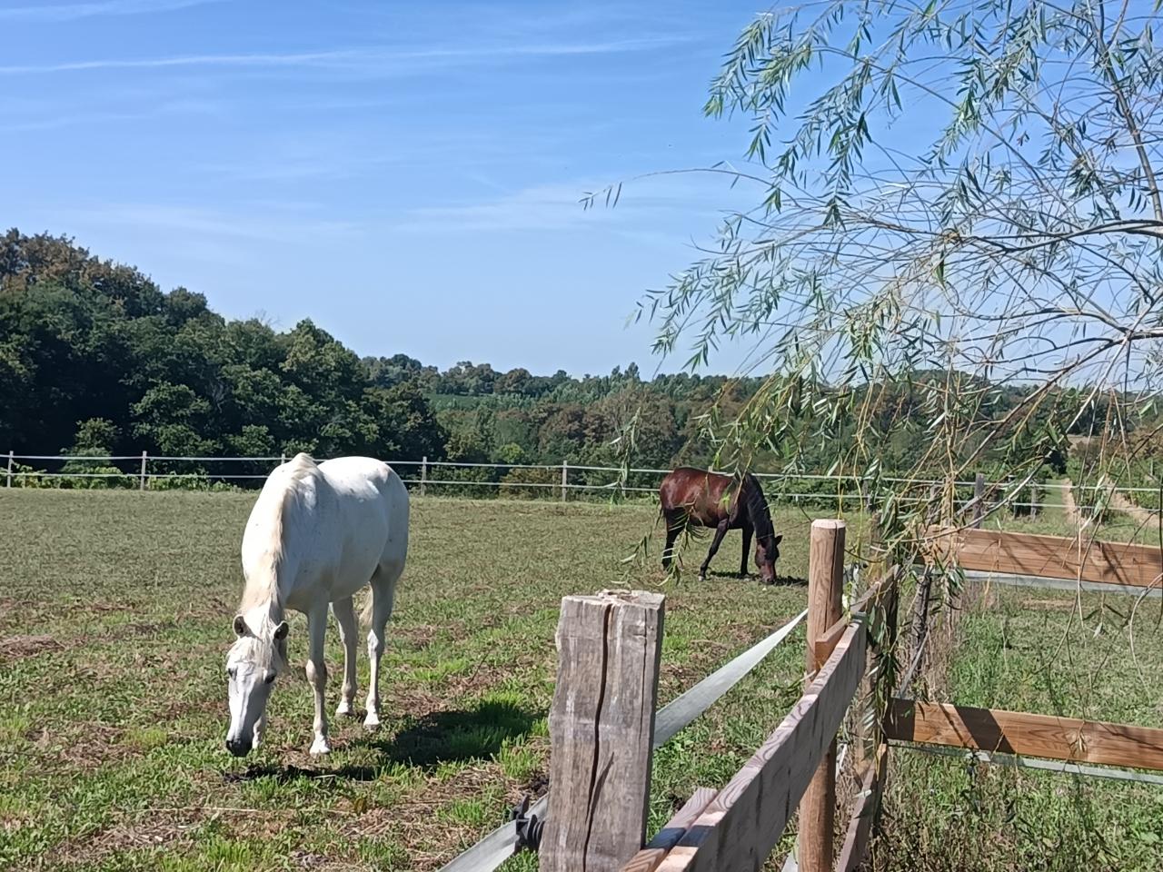 GreenGo location vacances écoresponsables