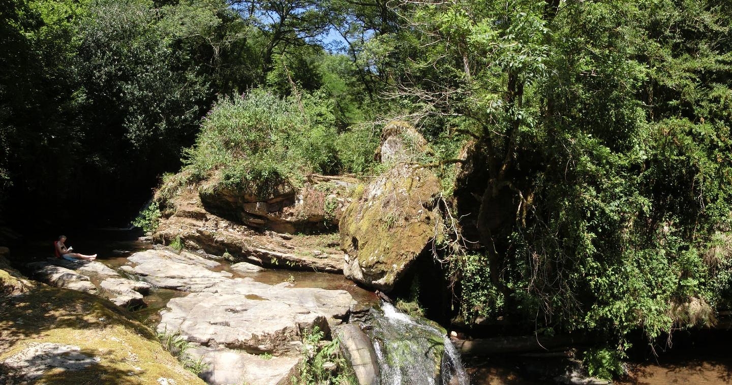 Carte cadeau GreenGo