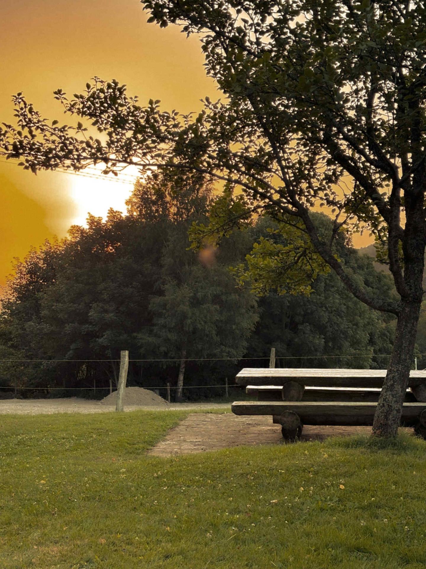  Haut-Rhin À la montagne