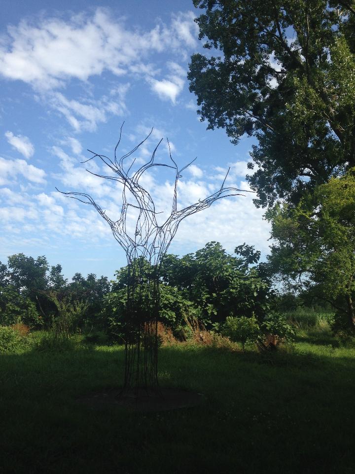 Carte cadeau GreenGo