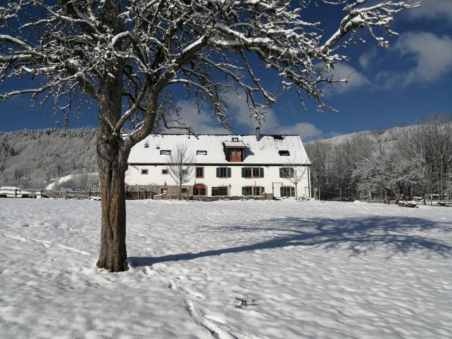 GreenGo Gîte Grand Est En forêt