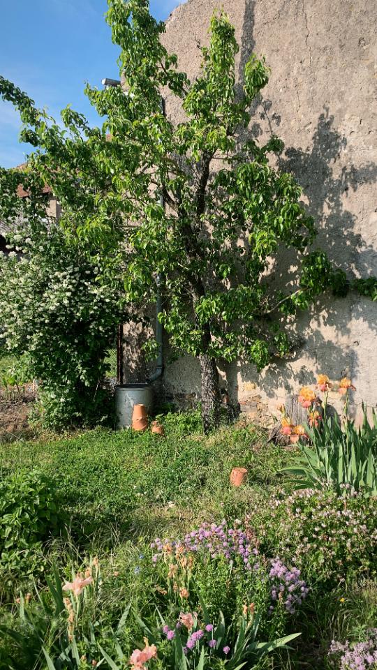GreenGo Gîte Grand Est Gîte de groupe