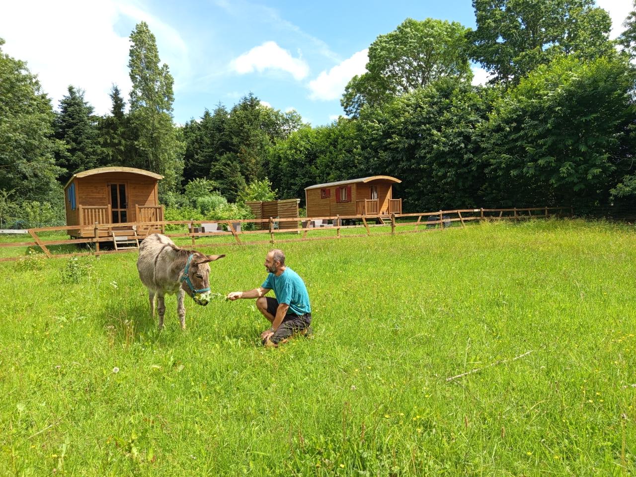 Hôte GreenGo: Séjour en roulotte auprès des ânes en Normandie