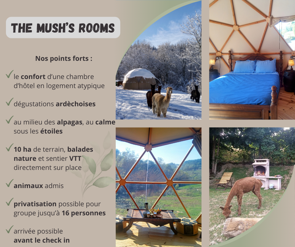 Hôte GreenGo: The Mush's rooms_rêver avec les alpagas