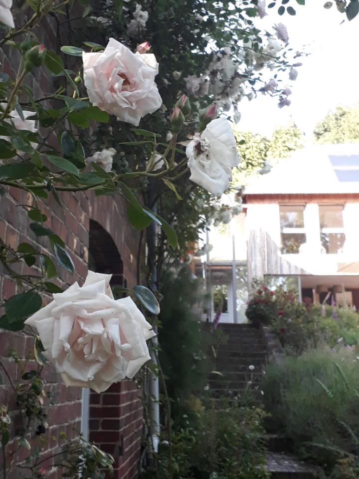  Calvados À la campagne