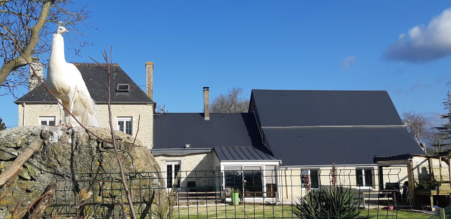 Carte cadeau GreenGo