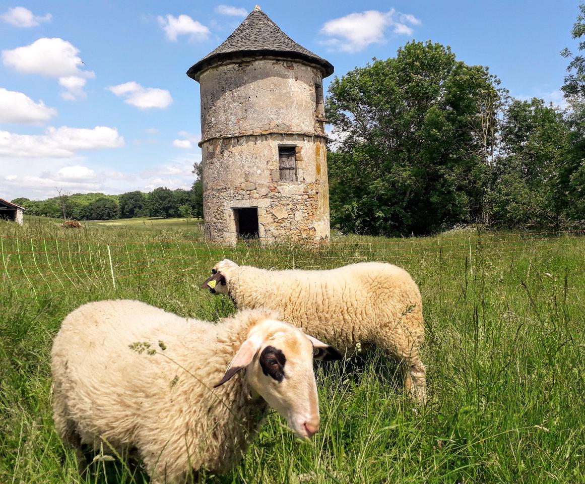 Hôte GreenGo: La ferme du Domaine de Mons - Image 10