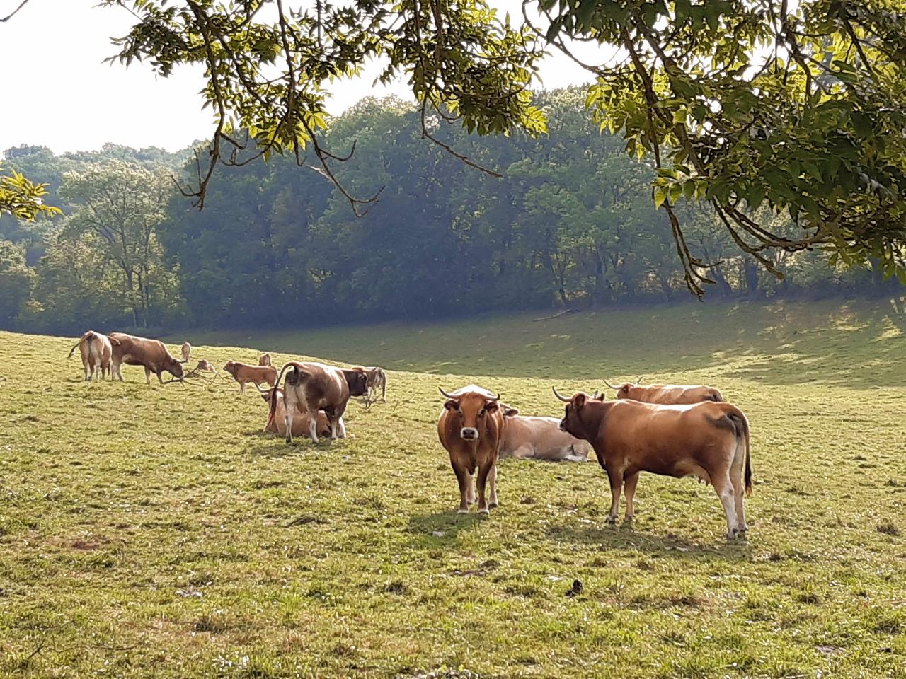 Hôte GreenGo: La ferme du Domaine de Mons - Image 12