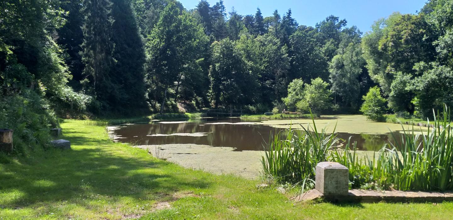  Ille-et-Vilaine À la campagne