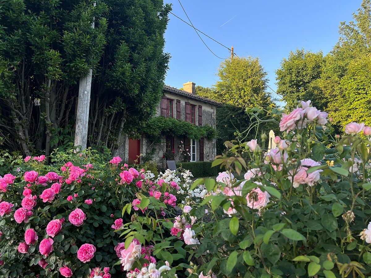 La Grosse Talle