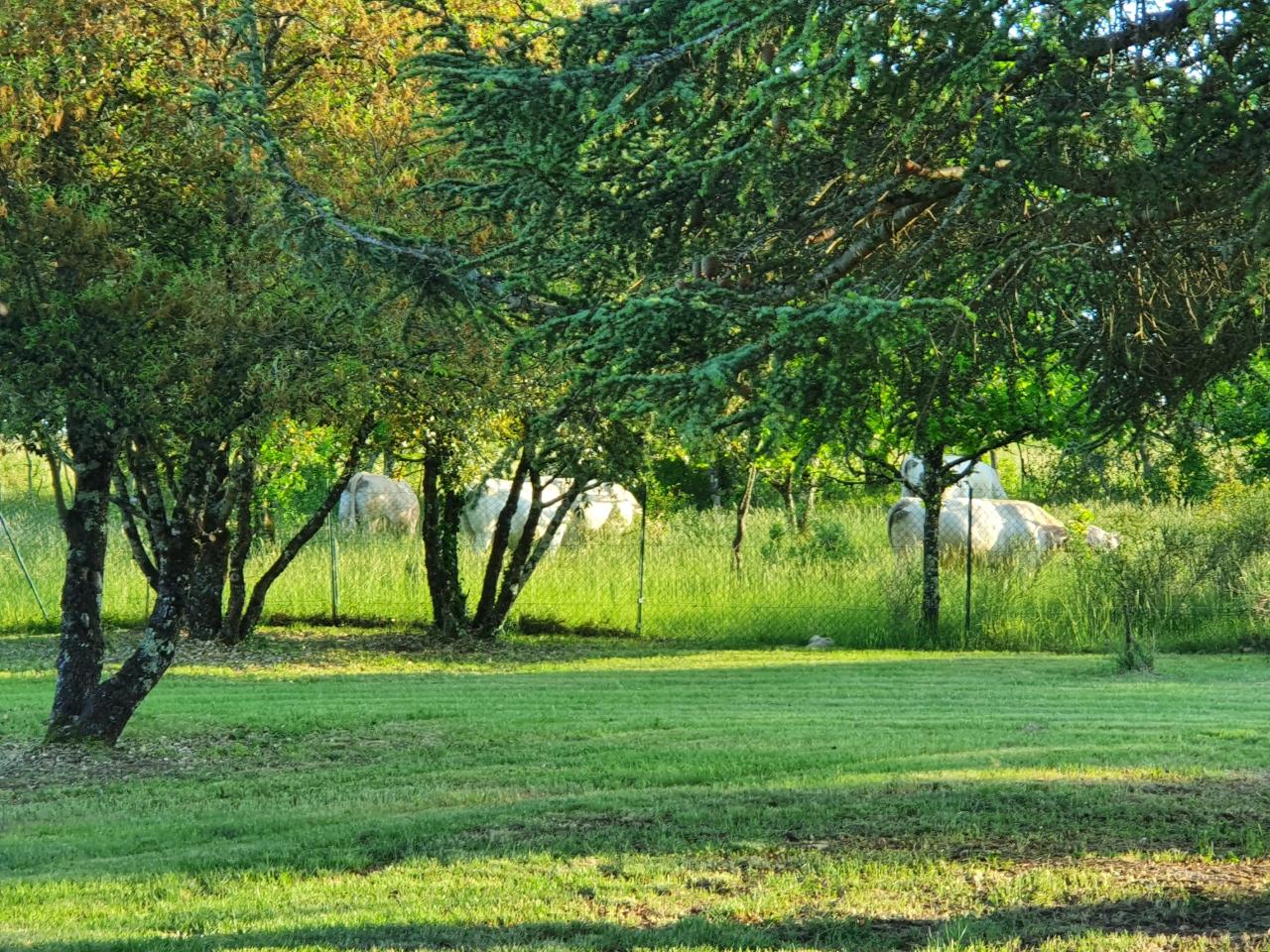 GreenGo location vacances écoresponsables