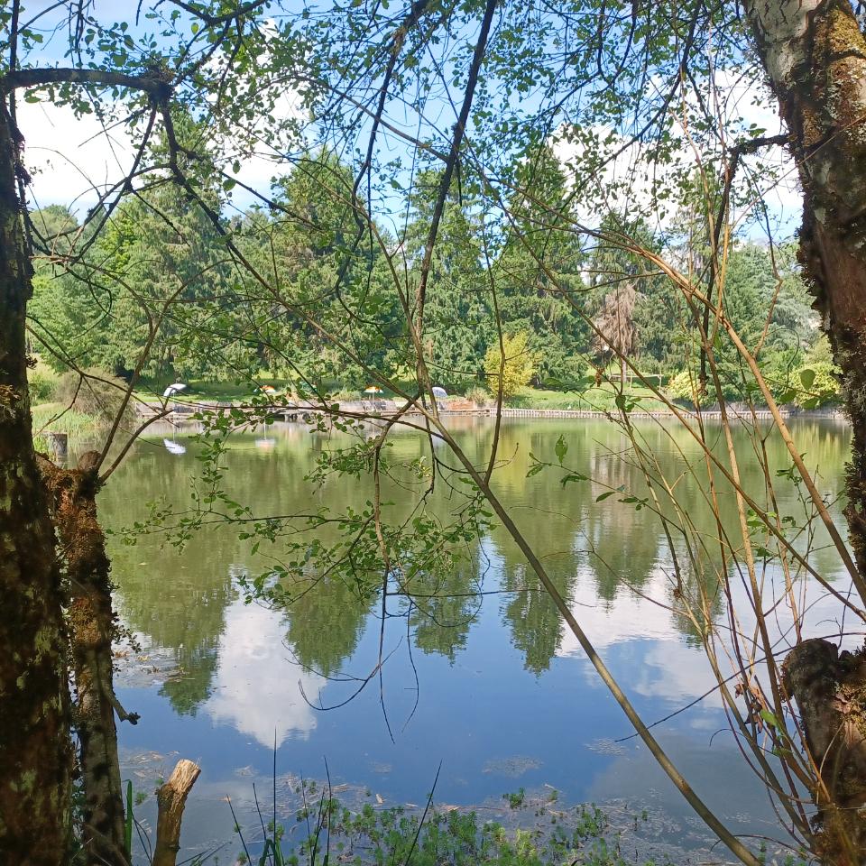 GreenGo Gites sur l'étang