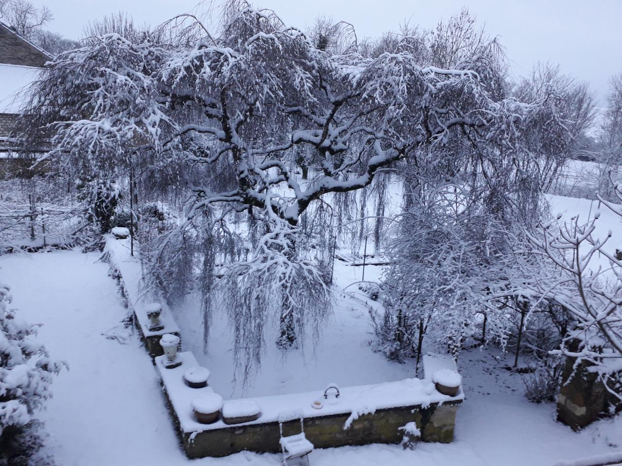 GreenGo Gîte Grand Est Évasion