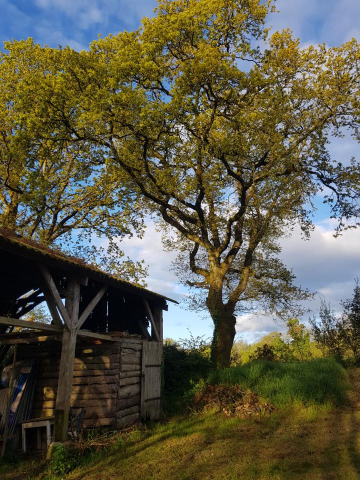 Hôte GreenGo: Hameau de Leignoua, gîte et chambres d'hôtes - Image 10