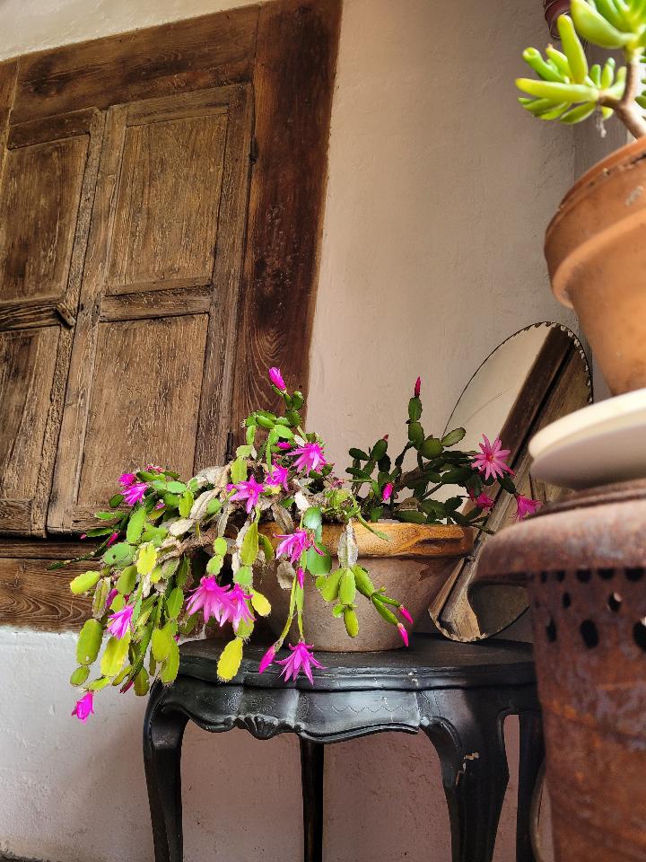 GreenGo location vacances écoresponsables