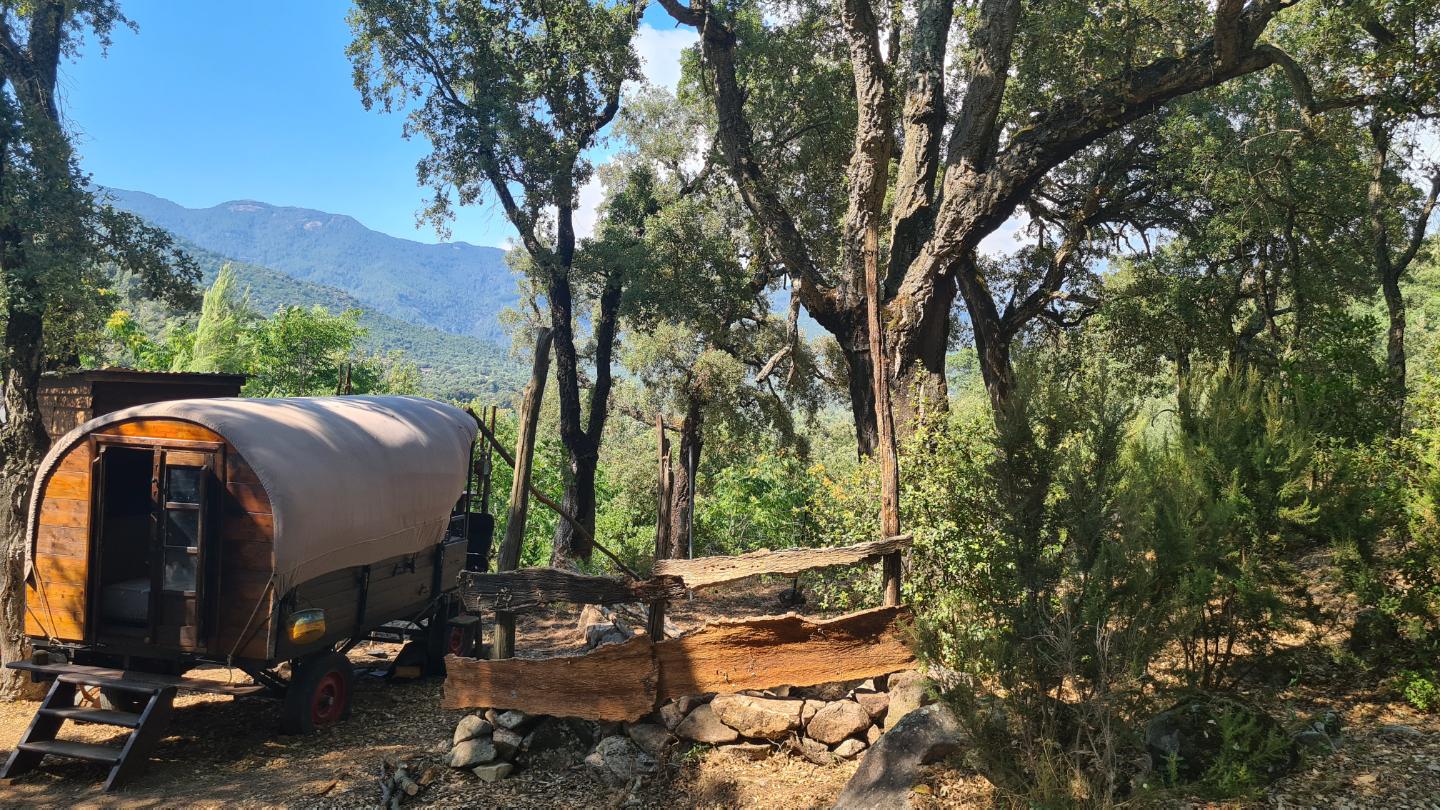 Carte cadeau GreenGo