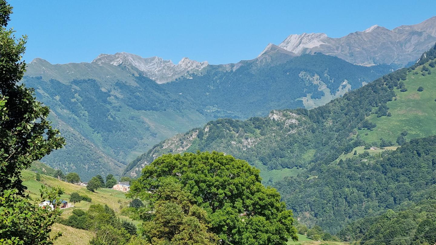 GreenGo Chambre chez l’habitant Nouvelle-Aquitaine Musique