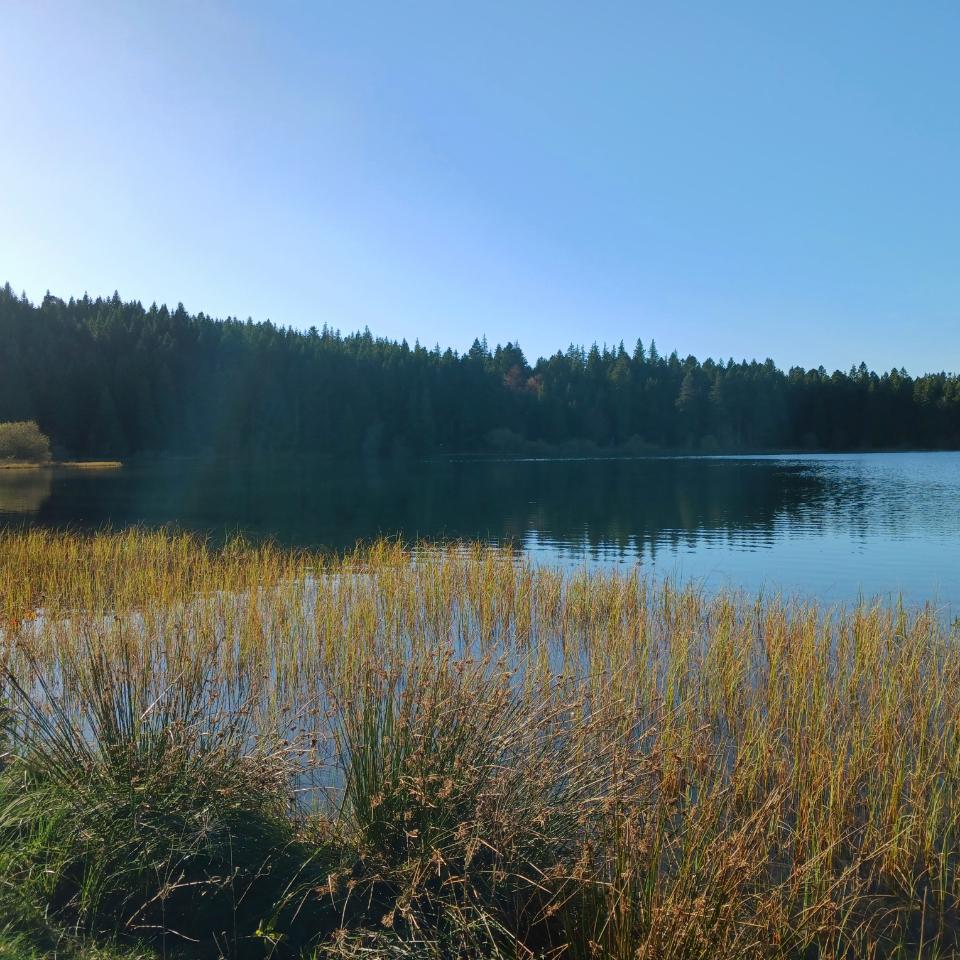 GreenGo Gîte Auvergne-Rhône-Alpes Évasion