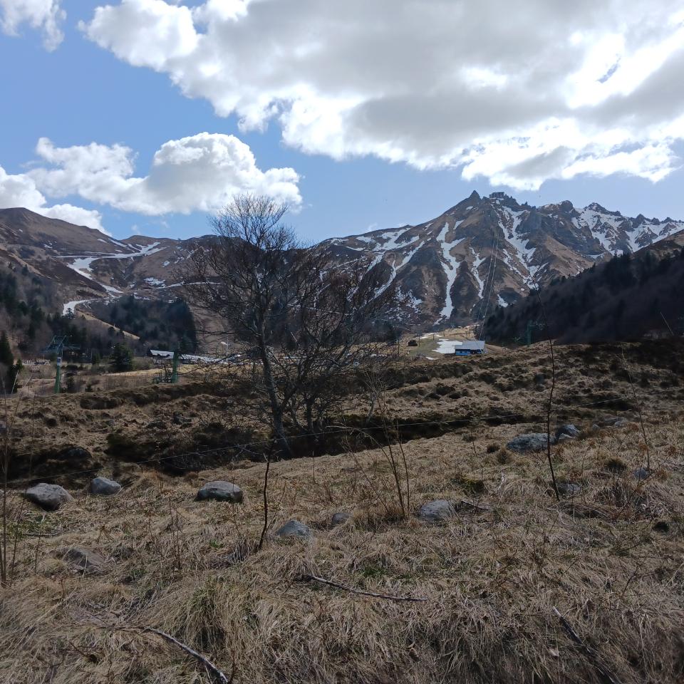 GreenGo location vacances écoresponsables