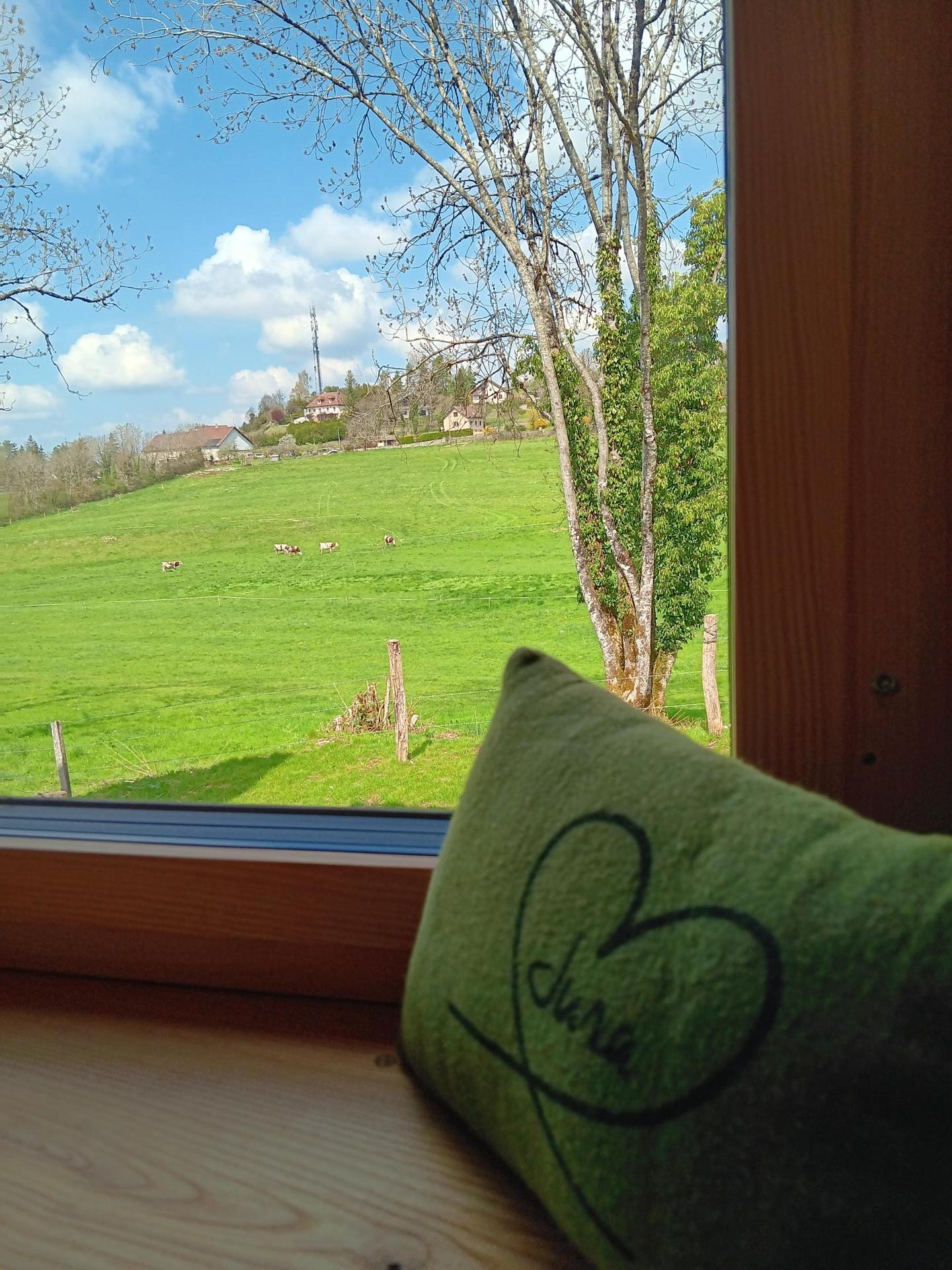 Carte cadeau GreenGo