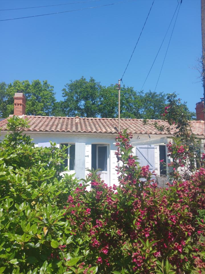 Carte cadeau GreenGo