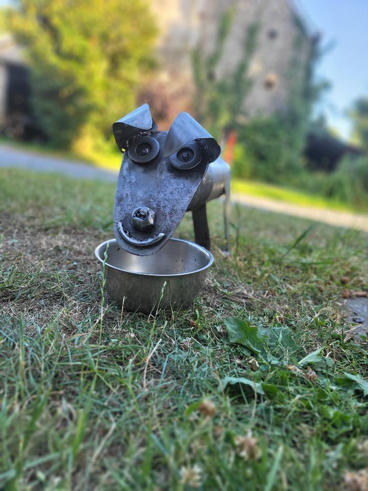 Carte cadeau GreenGo