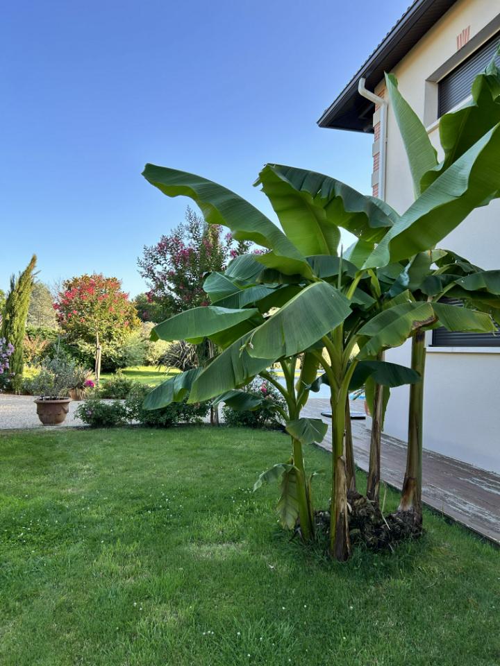 Carte cadeau GreenGo