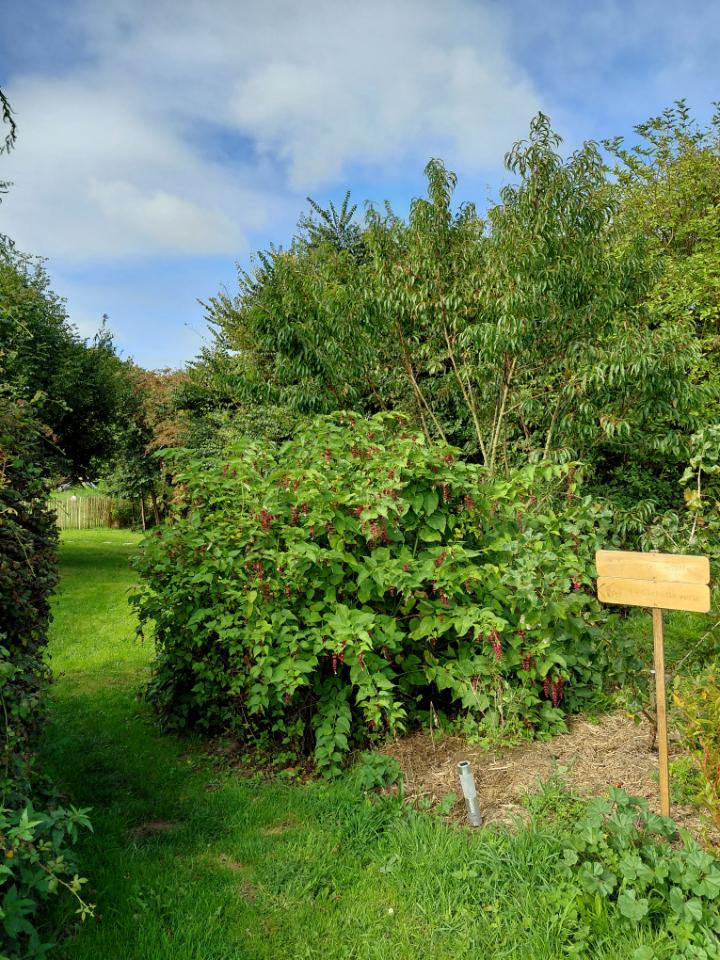 Logement insolite Finistère Gîte de groupe