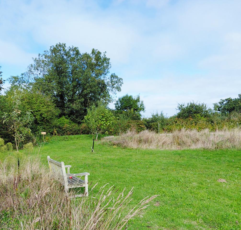 Carte cadeau GreenGo