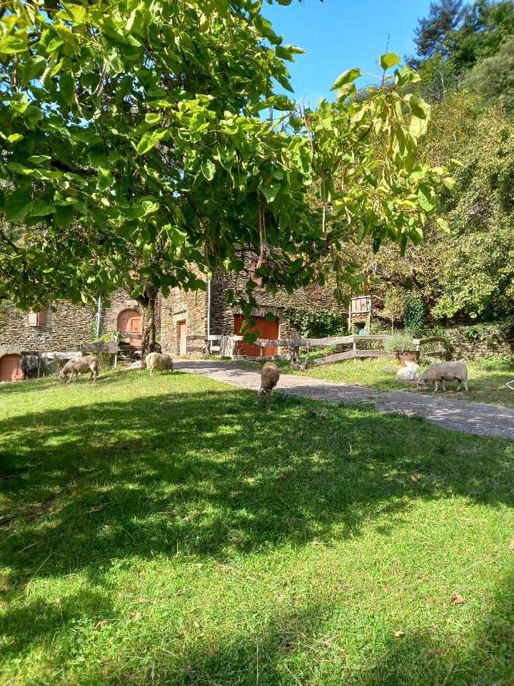 GreenGo location vacances écoresponsables