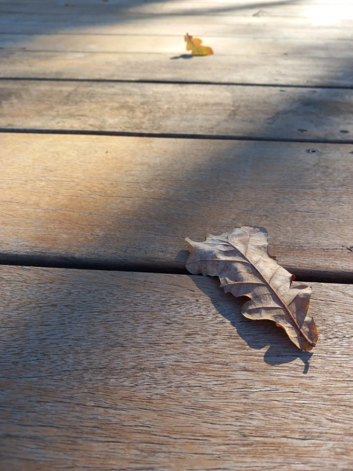 GreenGo location vacances écoresponsables