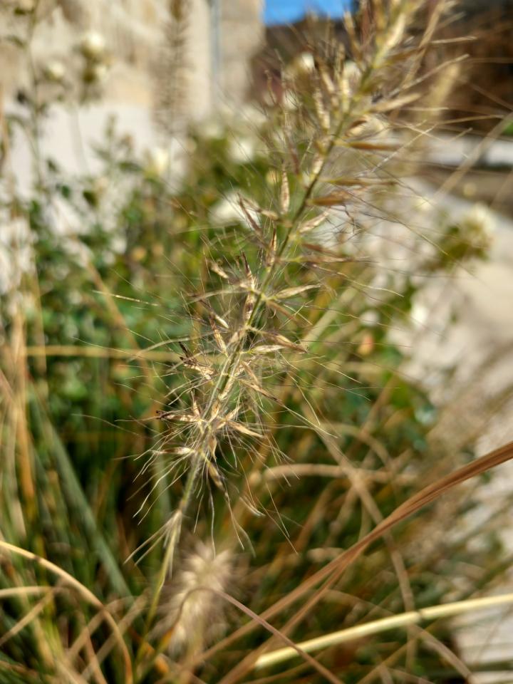 GreenGo Gîte Occitanie À la campagne