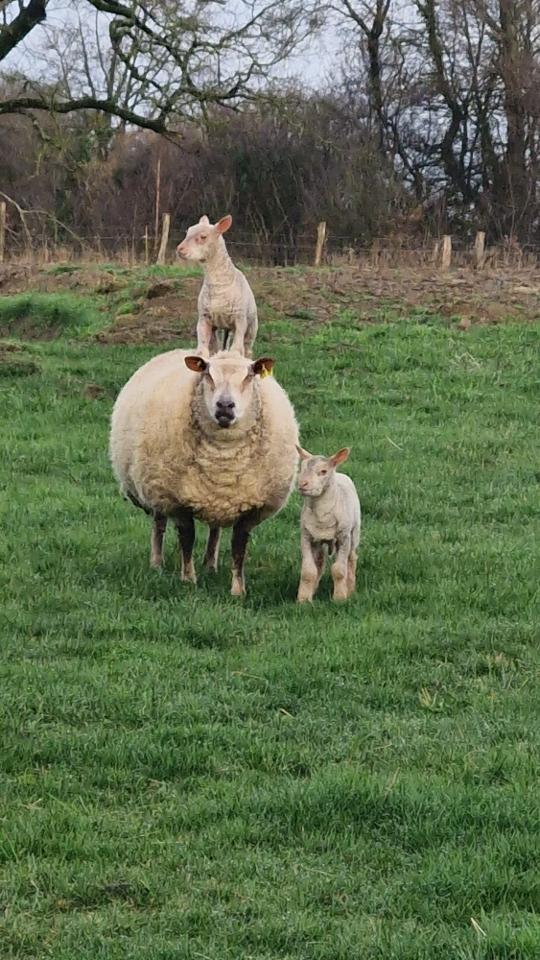 GreenGo Location Normandie À la campagne