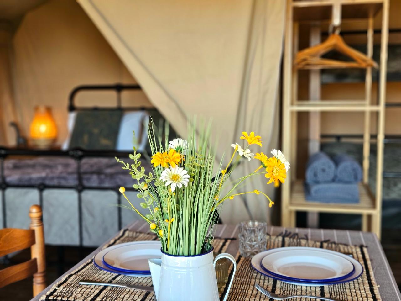 GreenGo location vacances écoresponsables