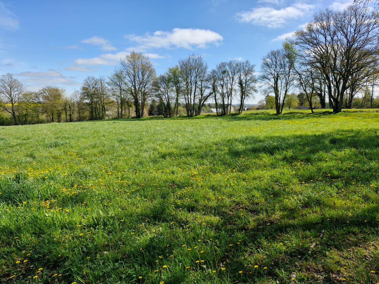 Carte cadeau GreenGo