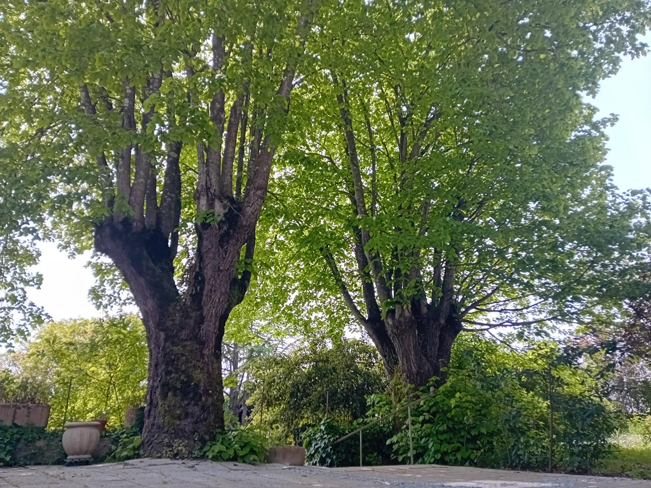 GreenGo Chambre d’hôtes Pays de la Loire À la campagne