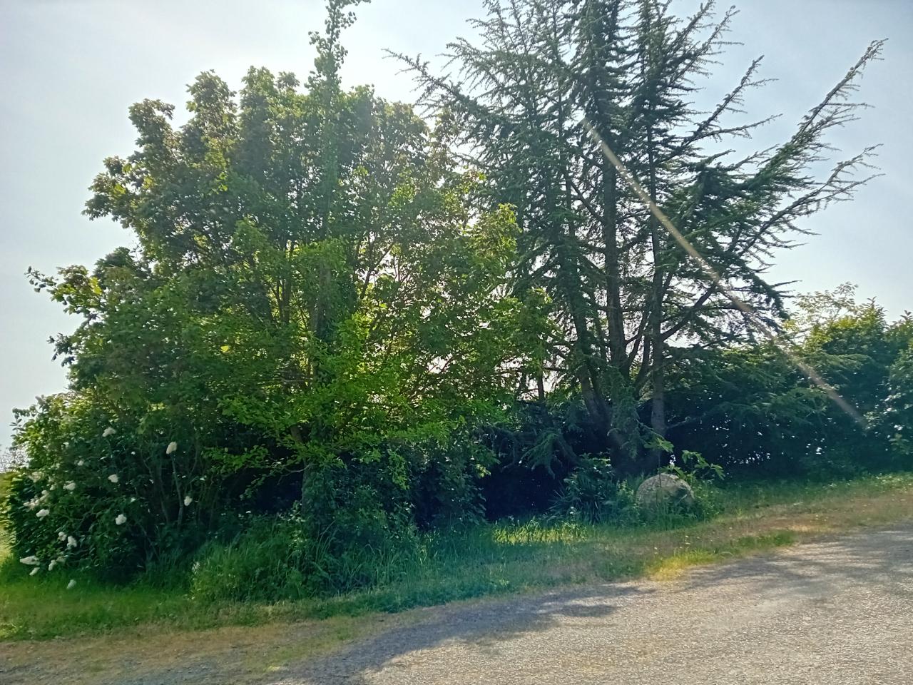 GreenGo location vacances écoresponsables