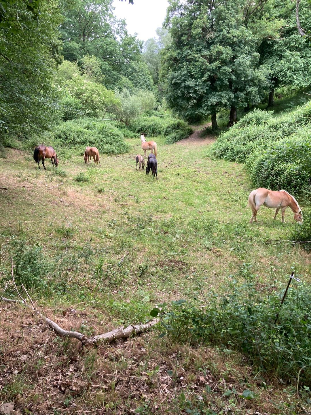 Logement insolite Allier À la campagne