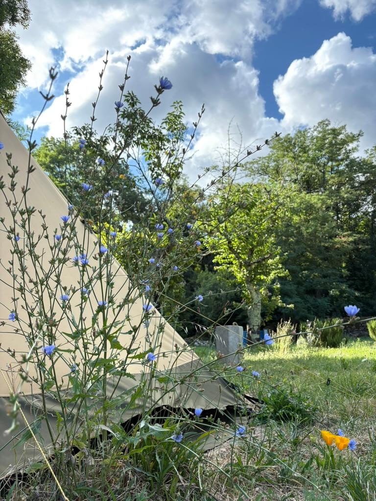 GreenGo La Funky Barn - Vacances de charme & atypiques