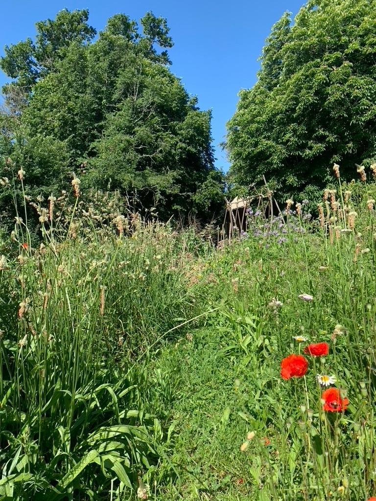 Finistère À la campagne