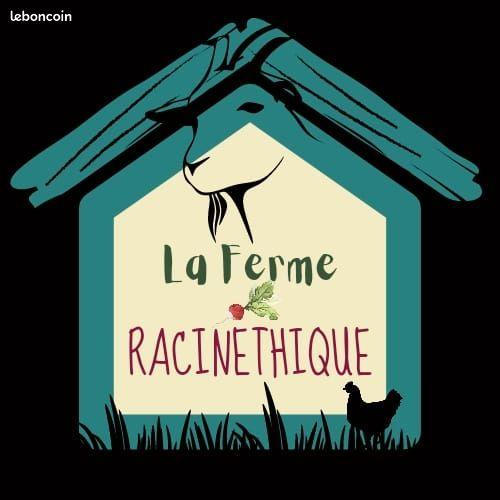 Hôte GreenGo: La Ferme Racinethique - Image 2