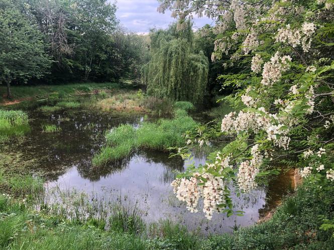 Hôte GreenGo: Gite La Tuilerie de Talouan - Image 12