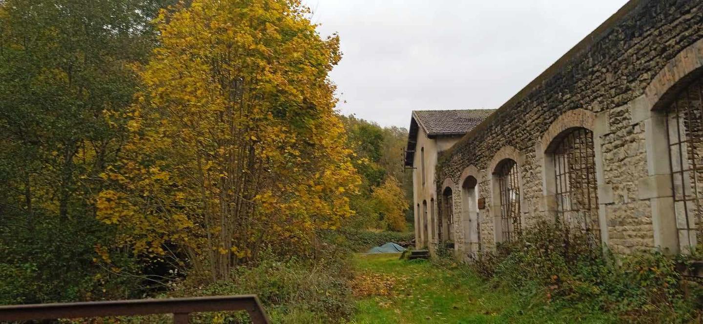 Carte cadeau GreenGo