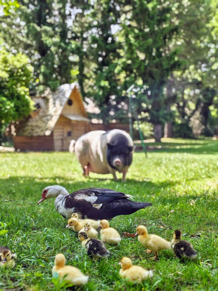 Logement insolite Drôme Gîte de groupe