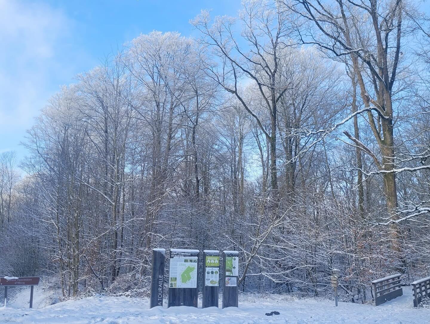 GreenGo location vacances écoresponsables