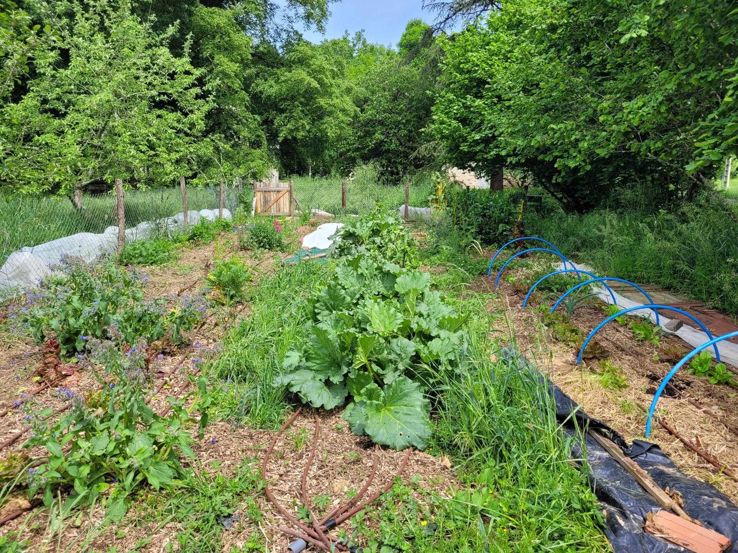 Carte cadeau GreenGo