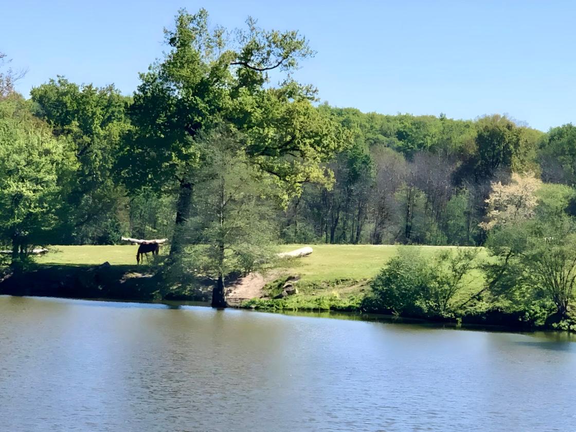 Hôte GreenGo: Le Domaine de Belloc - Image 30