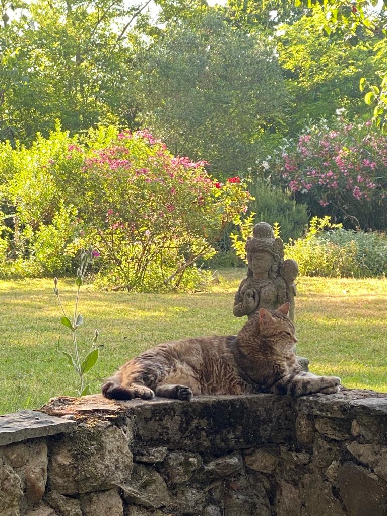 GreenGo L'Atelier du presbytère